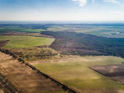                                     Grundstücke zum Kaufen  Baczyna
                                     | 1741 mkw