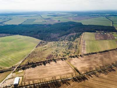                                     Grundstücke zum Kaufen  Baczyna
                                     | 1741 mkw