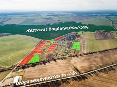                                     Lots for Sale  Baczyna
                                     | 1741 mkw