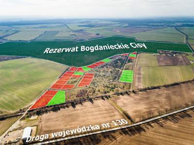                                     Lots for Sale  Baczyna
                                     | 1741 mkw