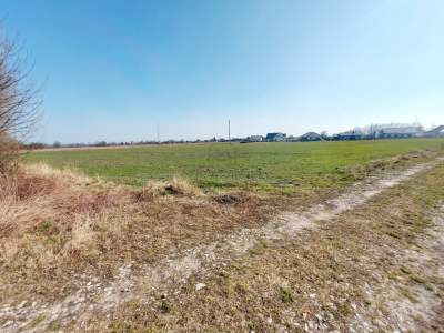         Lots for Sale, Słubice, Drzymały | 921 mkw