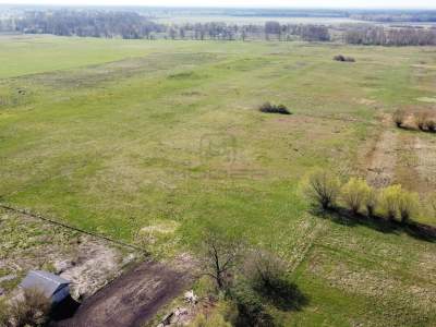                                     Lots for Sale  Bolemin
                                     | 1009 mkw