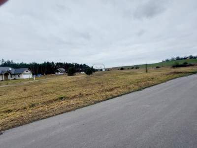                                     Lots for Sale  Zwierzyn
                                     | 3203 mkw