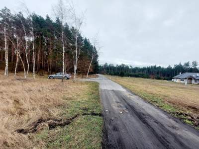                                     Parcela para Alquilar  Zwierzyn
                                     | 3203 mkw