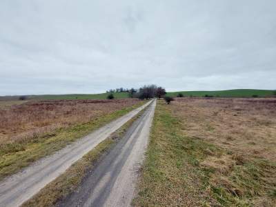                                     Lots for Sale  Zwierzyn
                                     | 3203 mkw