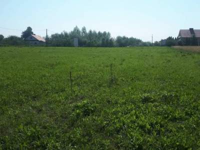         Lots for Sale, Tarnobrzeg, Nowa | 8400 mkw