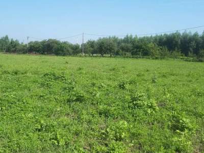         Lots for Sale, Tarnobrzeg, Nowa | 8400 mkw