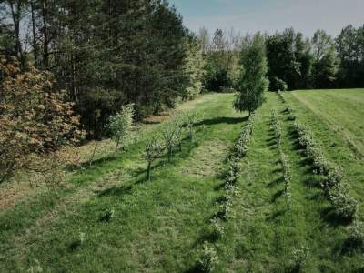                                     Działki na Sprzedaż  Mokra Wieś
                                     | 3900 mkw