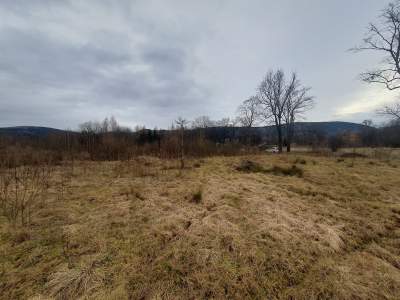         Lots for Sale, Kowary, Kasztanowa | 5559 mkw