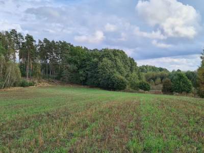                                     Grundstücke zum Kaufen  Stary Wiec
                                     | 1043 mkw