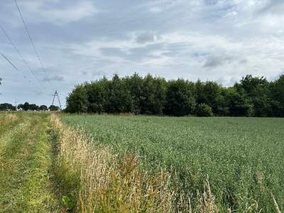                                     Działki na Sprzedaż  Możdżanowo
                                     | 700 mkw