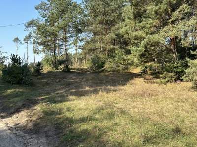         Lots for Sale, Daszewice, Piotrowska | 42972 mkw