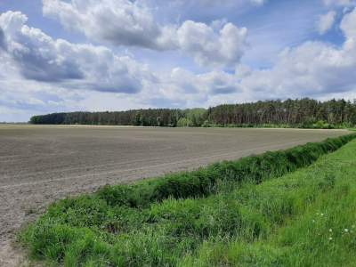         Działki na Sprzedaż, Zduny, Rochowska | 44985 mkw