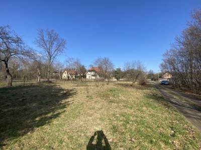         Lots for Sale, Siedlce, Cmentarna | 705 mkw