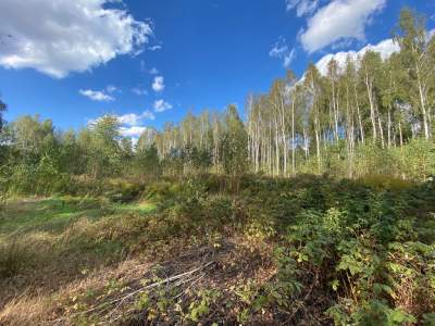         Działki na Sprzedaż, Skórzec, Bielna | 1578 mkw