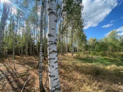         Lots for Sale, Skórzec, Bielna | 1578 mkw