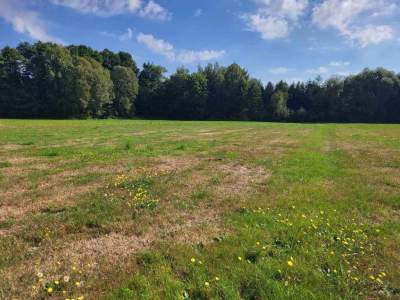         Lots for Sale, Zbuczyn, Jasna | 925 mkw