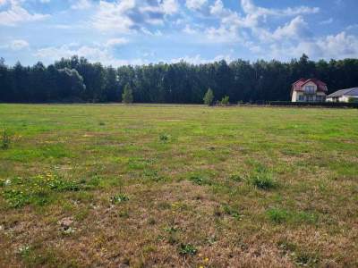         Lots for Sale, Zbuczyn, Jasna | 925 mkw