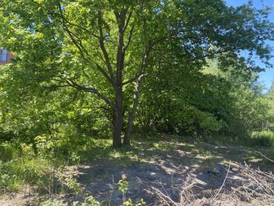         Grundstücke zum Kaufen, Siedlce, Spokojna | 1751 mkw