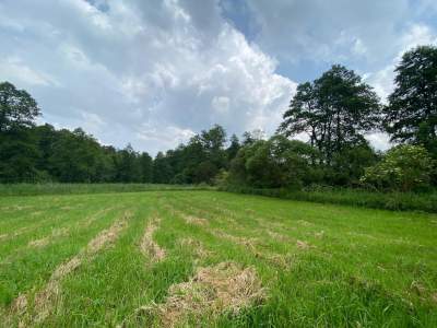                                     Lots for Sale  Jeleniec
                                     | 5326 mkw