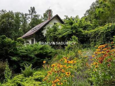                                     Casas para Alquilar  Wieliczka (Gw)
                                     | 250 mkw