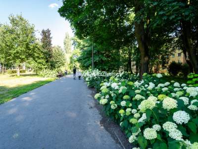         Mieszkania na Sprzedaż, Kraków, Osiedle Na Lotnisku | 43 mkw