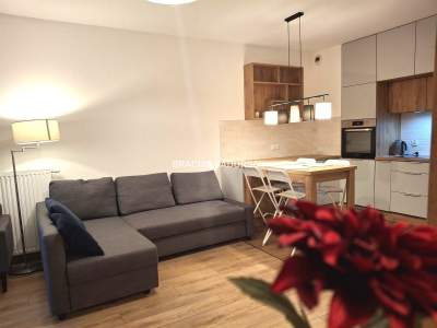         Apartamentos para Rent , Kraków, Dąbska | 45 mkw