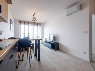         Flats for Rent , Kraków, Andrzeja Zauchy  | 41 mkw