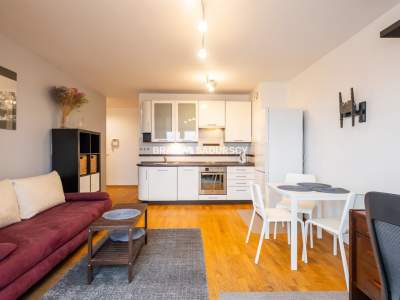         Apartamentos para Rent , Kraków, Miłkowskiego | 40 mkw