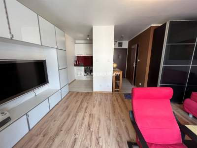         Flats for Rent , Kraków, Lubostroń | 31 mkw