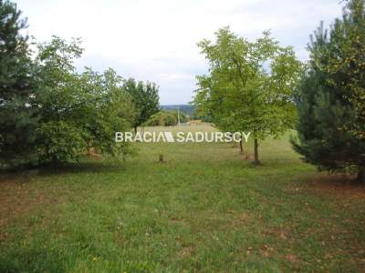                                     Lots for Sale  Jerzmanowice-Przeginia
                                     | 1450 mkw