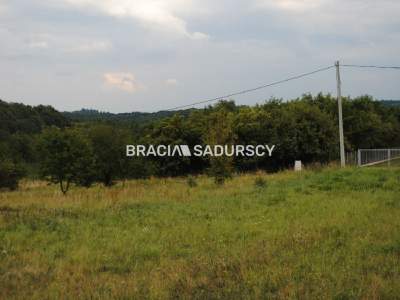                                     Lots for Sale  Jerzmanowice-Przeginia
                                     | 1450 mkw