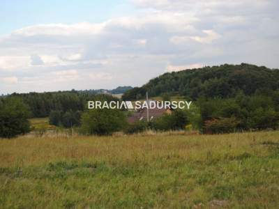                                     Lots for Sale  Jerzmanowice-Przeginia
                                     | 1450 mkw