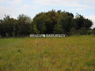                                     Lots for Sale  Jerzmanowice-Przeginia
                                     | 1450 mkw