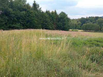                                     Lots for Sale  Myślenice (Gw)
                                     | 7343 mkw