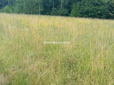                                     Lots for Sale  Myślenice (Gw)
                                     | 7343 mkw