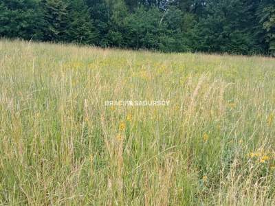                                     Lots for Sale  Myślenice (Gw)
                                     | 7343 mkw