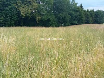                                     Lots for Sale  Myślenice (Gw)
                                     | 7343 mkw