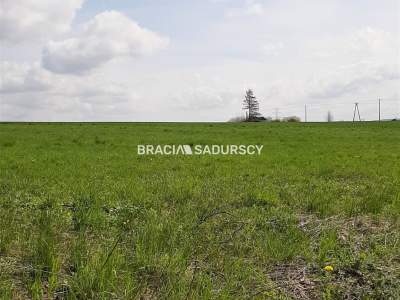         Lots for Sale, Krzeszowice (Gw), Wolna | 2252 mkw