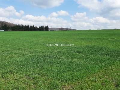         Lots for Sale, Krzeszowice (Gw), Wolna | 2252 mkw