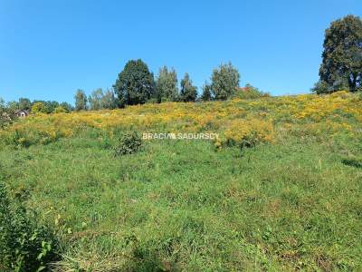                                     Grundstücke zum Kaufen  Wieliczka (Gw)
                                     | 5800 mkw