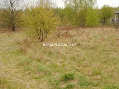                                     Lots for Sale  Brzesko
                                     | 1509 mkw