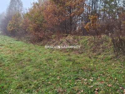                                     Lots for Sale  Wieliczka (Gw)
                                     | 3600 mkw