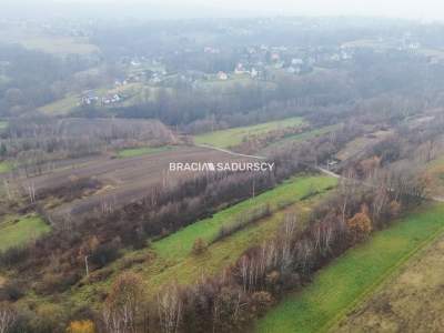                                     Działki na Sprzedaż  Wieliczka (Gw)
                                     | 3600 mkw