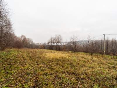                                     Działki na Sprzedaż  Wieliczka (Gw)
                                     | 3600 mkw