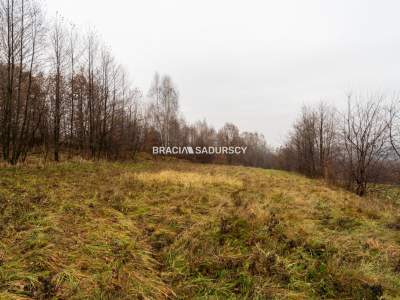                                     Działki na Sprzedaż  Wieliczka (Gw)
                                     | 3600 mkw