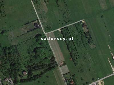         Grundstücke zum Kaufen, Jerzmanowice-Przeginia, Łazy | 2775 mkw