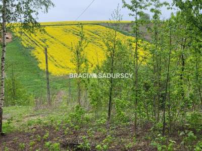         Grundstücke zum Kaufen, Michałowice (Gw), Koźlica | 3642 mkw