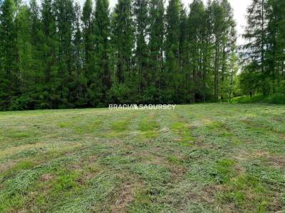                                     Lots for Sale  Alwernia (Gw)
                                     | 8900 mkw