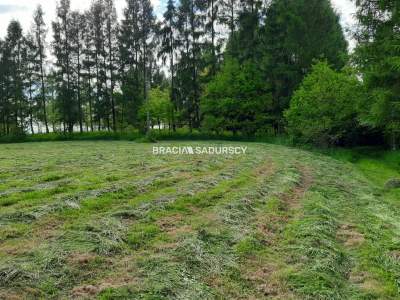                                     Lots for Sale  Alwernia (Gw)
                                     | 8900 mkw